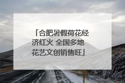 合肥暑假荷花经济红火 全国多地花艺文创销售旺