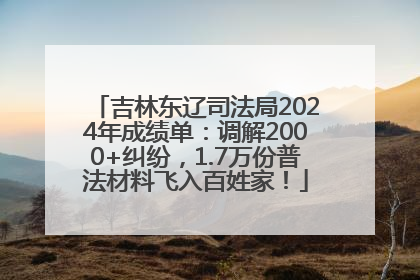 吉林东辽司法局2024年成绩单：调解2000+纠纷，1.7万份普法材料飞入百姓家！