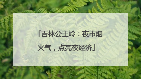 吉林公主岭：夜市烟火气，点亮夜经济