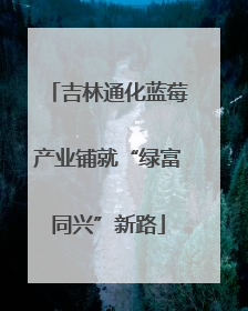 吉林通化蓝莓产业铺就“绿富同兴”新路