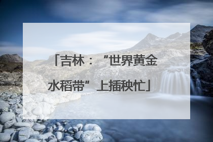 吉林：“世界黄金水稻带”上插秧忙