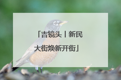 吉镜头丨新民大街焕新开街