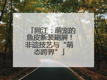 同江：萌宠的鱼皮新装刷屏！非遗技艺与“萌态跨界”