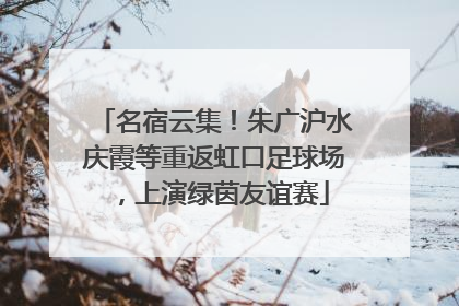 名宿云集！朱广沪水庆霞等重返虹口足球场，上演绿茵友谊赛