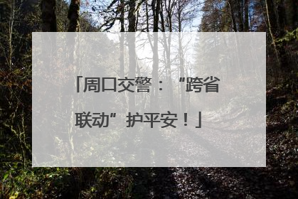 周口交警：“跨省联动”护平安！