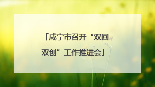咸宁市召开“双回双创”工作推进会