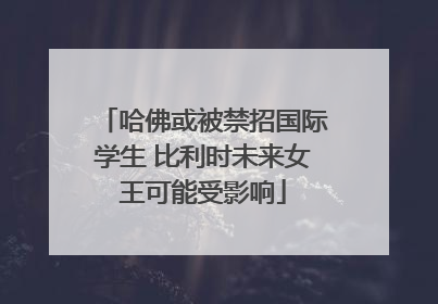 哈佛或被禁招国际学生 比利时未来女王可能受影响