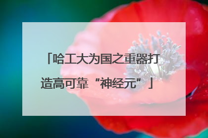 哈工大为国之重器打造高可靠“神经元”