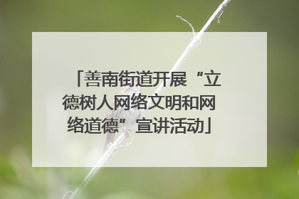 善南街道开展“立德树人网络文明和网络道德”宣讲活动