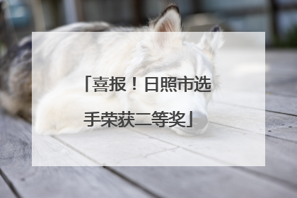 喜报！日照市选手荣获二等奖