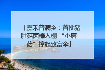 嘉禾普满乡：首批猪肚菇菌棒入棚 “小蘑菇”撑起致富伞