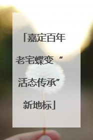 嘉定百年老宅蝶变“活态传承”新地标