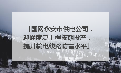 国网永安市供电公司：迎峰度夏工程按期投产，提升输电线路防雷水平