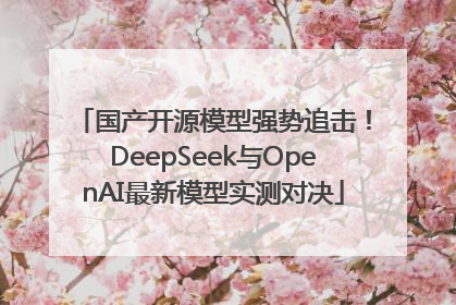 国产开源模型强势追击！DeepSeek与OpenAI最新模型实测对决