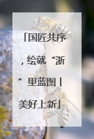 国匠共序，绘就“浙”里蓝图丨美好上新