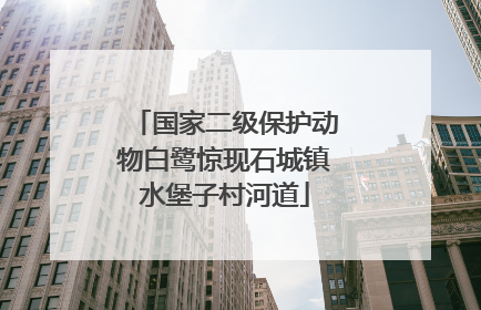 国家二级保护动物白鹭惊现石城镇水堡子村河道