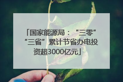 国家能源局：“三零”“三省”累计节省办电投资超3000亿元