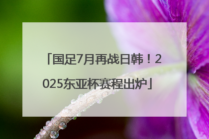 国足7月再战日韩！2025东亚杯赛程出炉