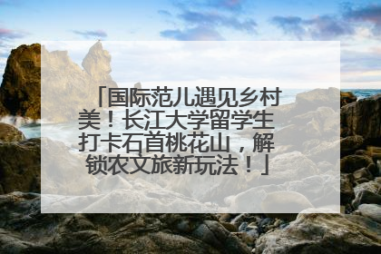 国际范儿遇见乡村美！长江大学留学生打卡石首桃花山，解锁农文旅新玩法！