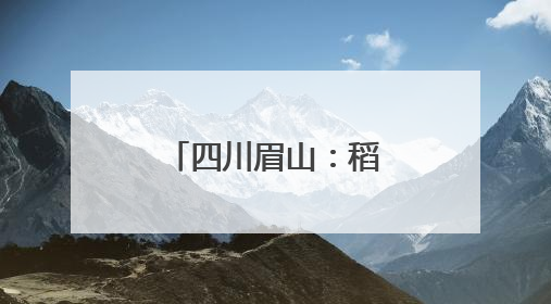四川眉山：稻田边响起法槌声 巡回法庭现场化解耕地纠纷