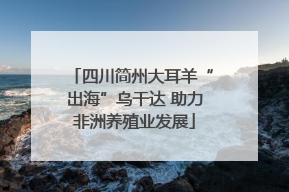 四川简州大耳羊“出海”乌干达 助力非洲养殖业发展