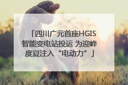 四川广元首座HGIS智能变电站投运 为迎峰度夏注入“电动力”