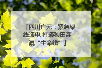 四川广元：紧急架线通电 打通秧田灌溉“生命线”