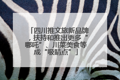 四川推文旅新品牌，扶持和推出更多“哪吒”、川菜美食等成“吸睛点”