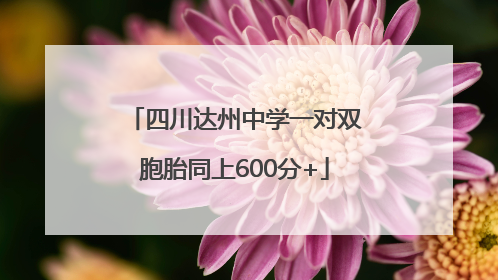 四川达州中学一对双胞胎同上600分+