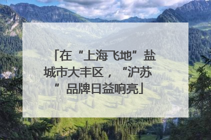 在“上海飞地”盐城市大丰区，“沪苏”品牌日益响亮