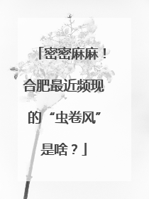密密麻麻！合肥最近频现的“虫卷风”是啥？