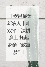 孝昌最美新农人丨叶双平：深耕乡土 托起乡亲“致富梦”