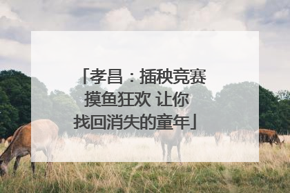 孝昌：插秧竞赛 摸鱼狂欢 让你找回消失的童年