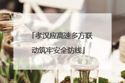 孝汉应高速多方联动筑牢安全防线