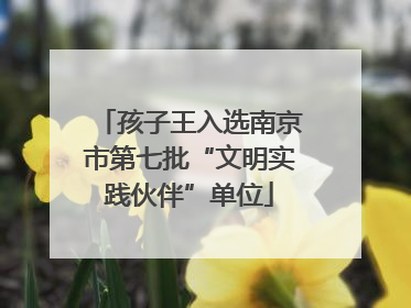 孩子王入选南京市第七批“文明实践伙伴”单位