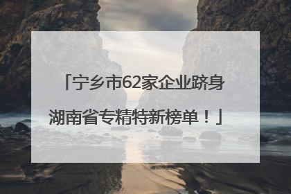宁乡市62家企业跻身湖南省专精特新榜单！