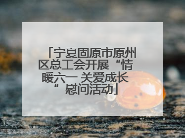 宁夏固原市原州区总工会开展“情暖六一 关爱成长”慰问活动