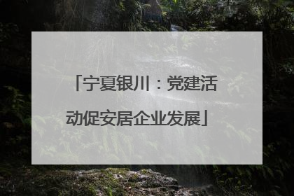 宁夏银川：党建活动促安居企业发展