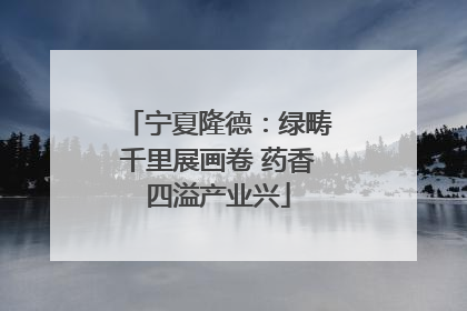 宁夏隆德：绿畴千里展画卷 药香四溢产业兴
