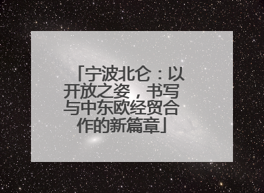 宁波北仑：以开放之姿，书写与中东欧经贸合作的新篇章