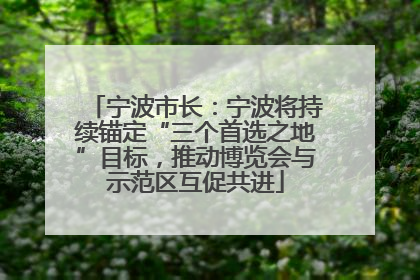 宁波市长：宁波将持续锚定“三个首选之地”目标，推动博览会与示范区互促共进