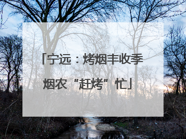 宁远：烤烟丰收季 烟农“赶烤”忙