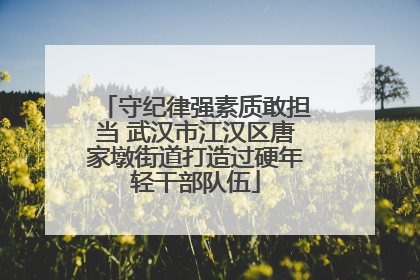 守纪律强素质敢担当 武汉市江汉区唐家墩街道打造过硬年轻干部队伍