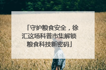 守护粮食安全，徐汇这场科普市集解锁粮食科技新密码