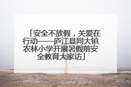 安全不放假，关爱在行动——庐江县同大镇农林小学开展暑假前安全教育大家访