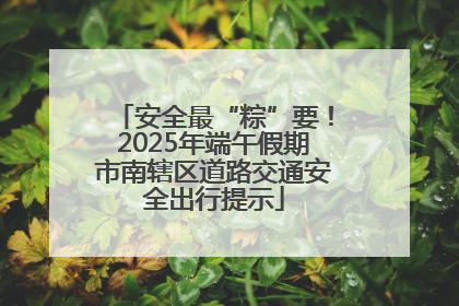 安全最“粽”要！2025年端午假期市南辖区道路交通安全出行提示