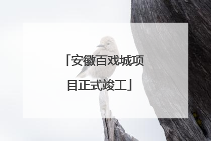 安徽百戏城项目正式竣工