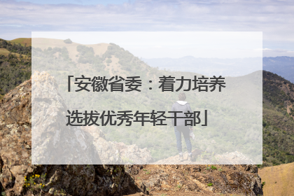 安徽省委：着力培养选拔优秀年轻干部