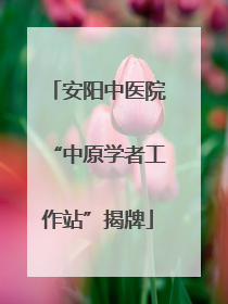 安阳中医院“中原学者工作站”揭牌