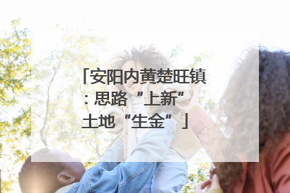 安阳内黄楚旺镇：思路“上新” 土地“生金”